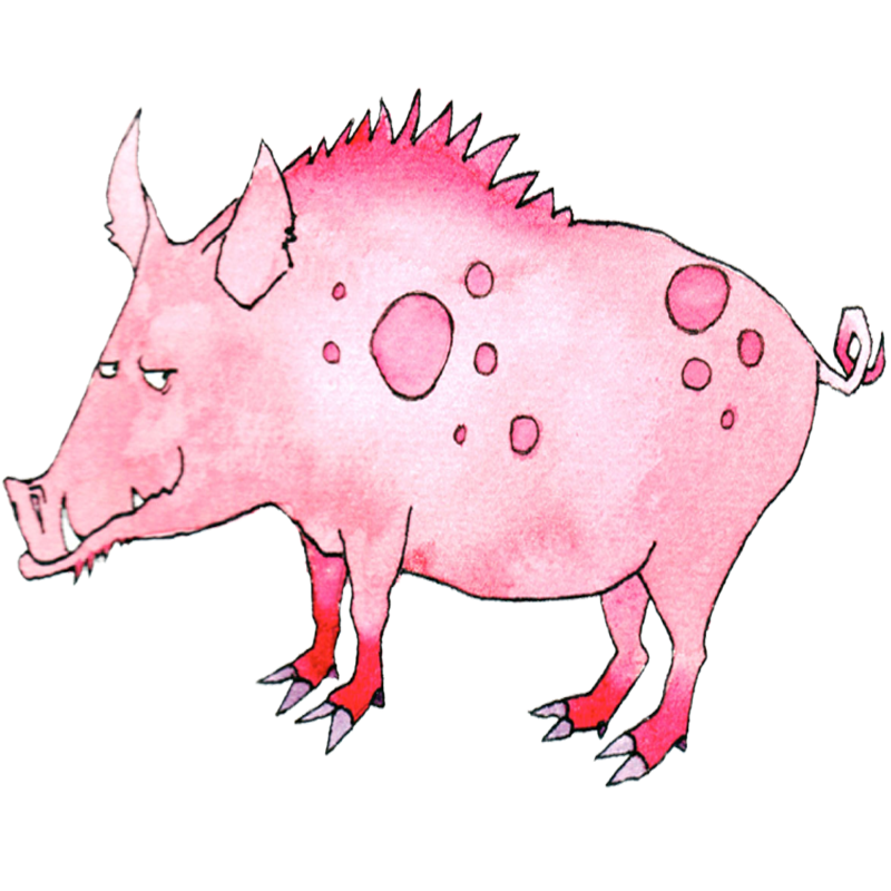 Astrologia Chinesa | Animal sign O Porco